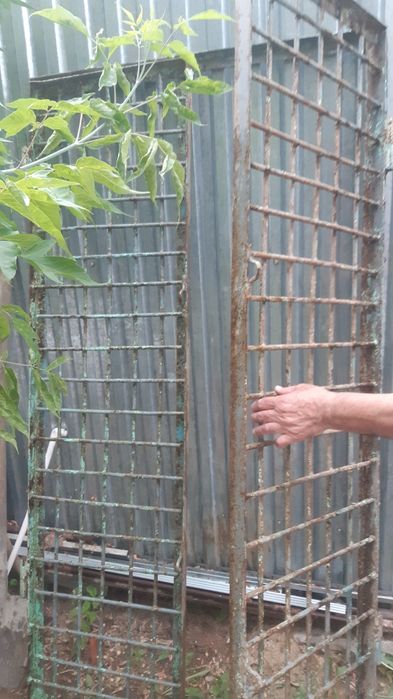 Двери железные,двустворчатая