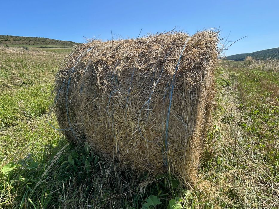 Vând Baloti fan 2025
