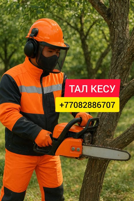 Тал кесу , Спил деревьев , Спилить обрезка дерева , Уборка территории