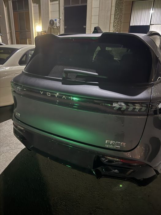 Voyah apollo tech 318