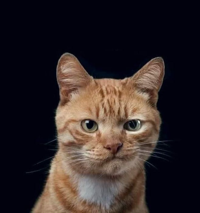 Дачный участок с домиком