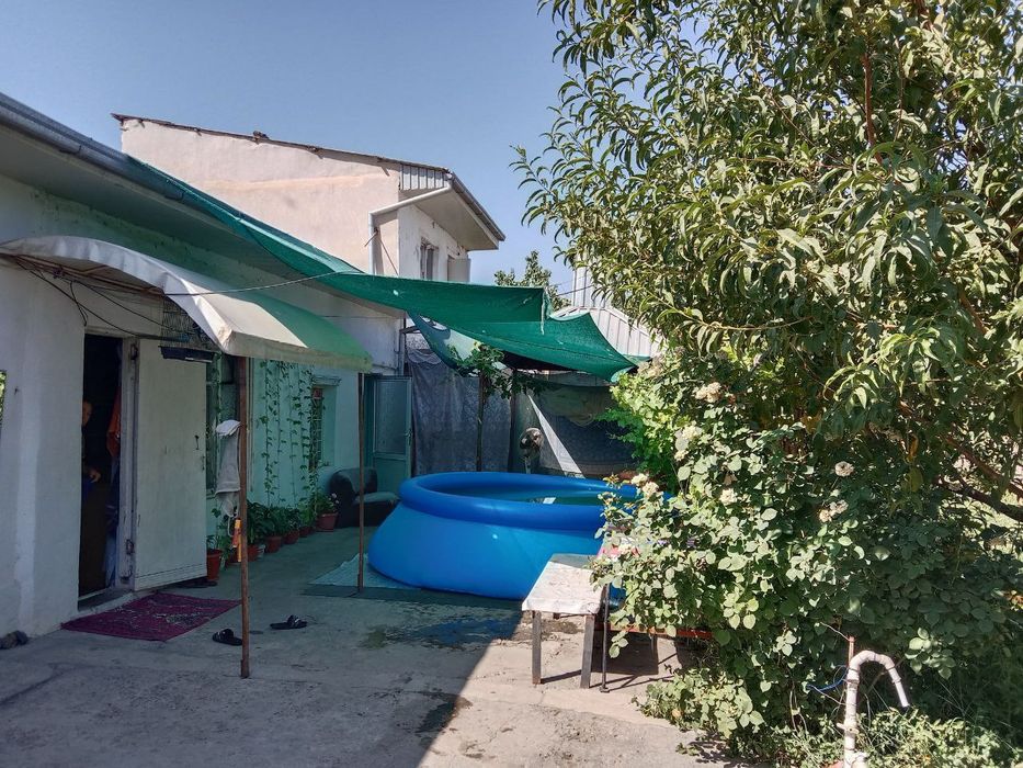 Тошкентда ховли расположен бектемирда