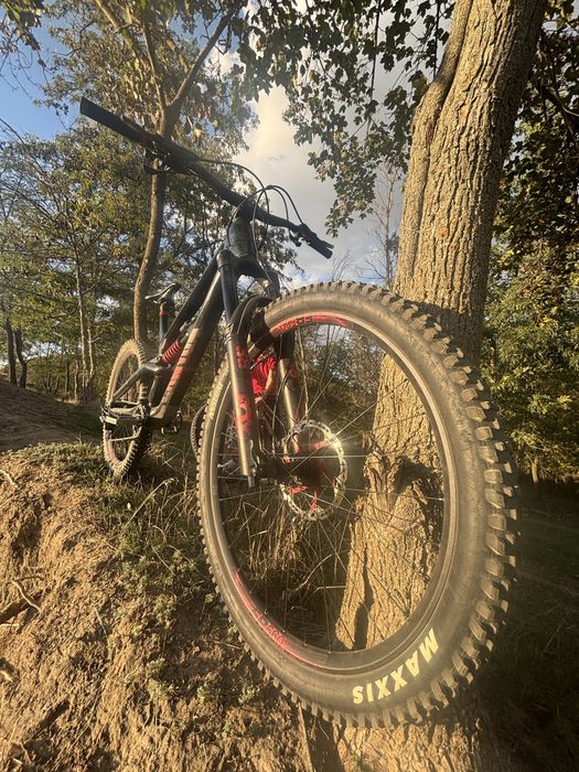 Canyon Torque CF8 URGENT