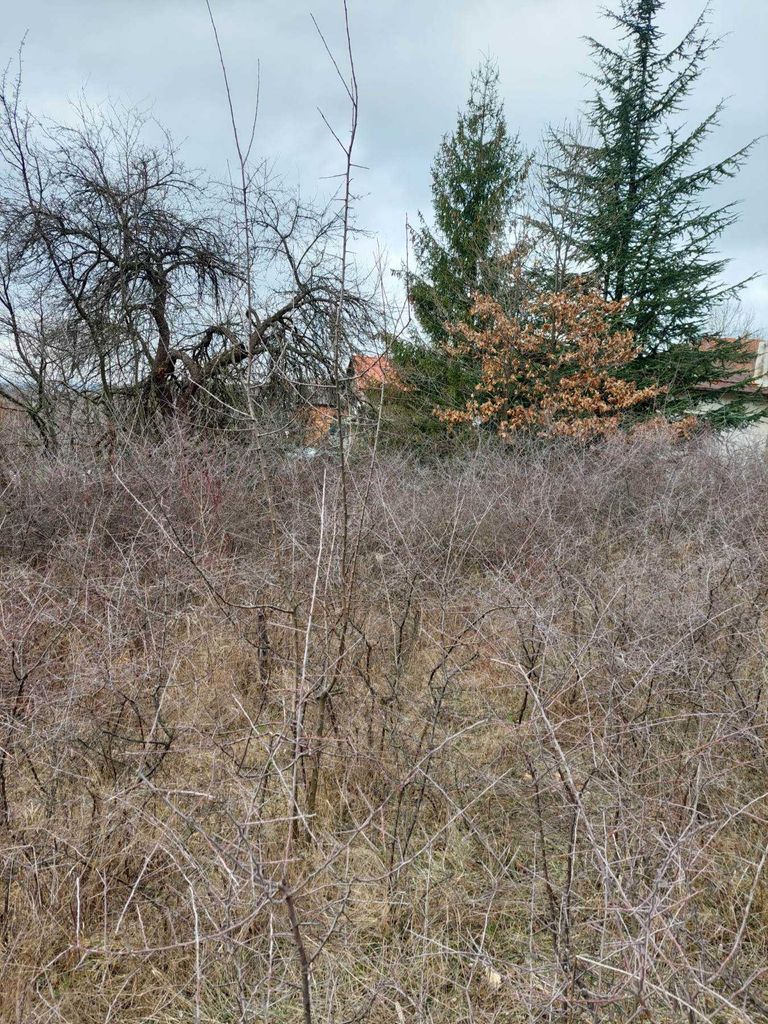 Продава се Парцел в София, Овча купел 1 - 1139 кв.м за 56 €/кв.м - Снимка #8