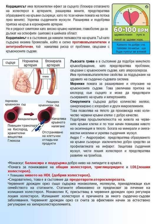 DXN Кордицепс prah