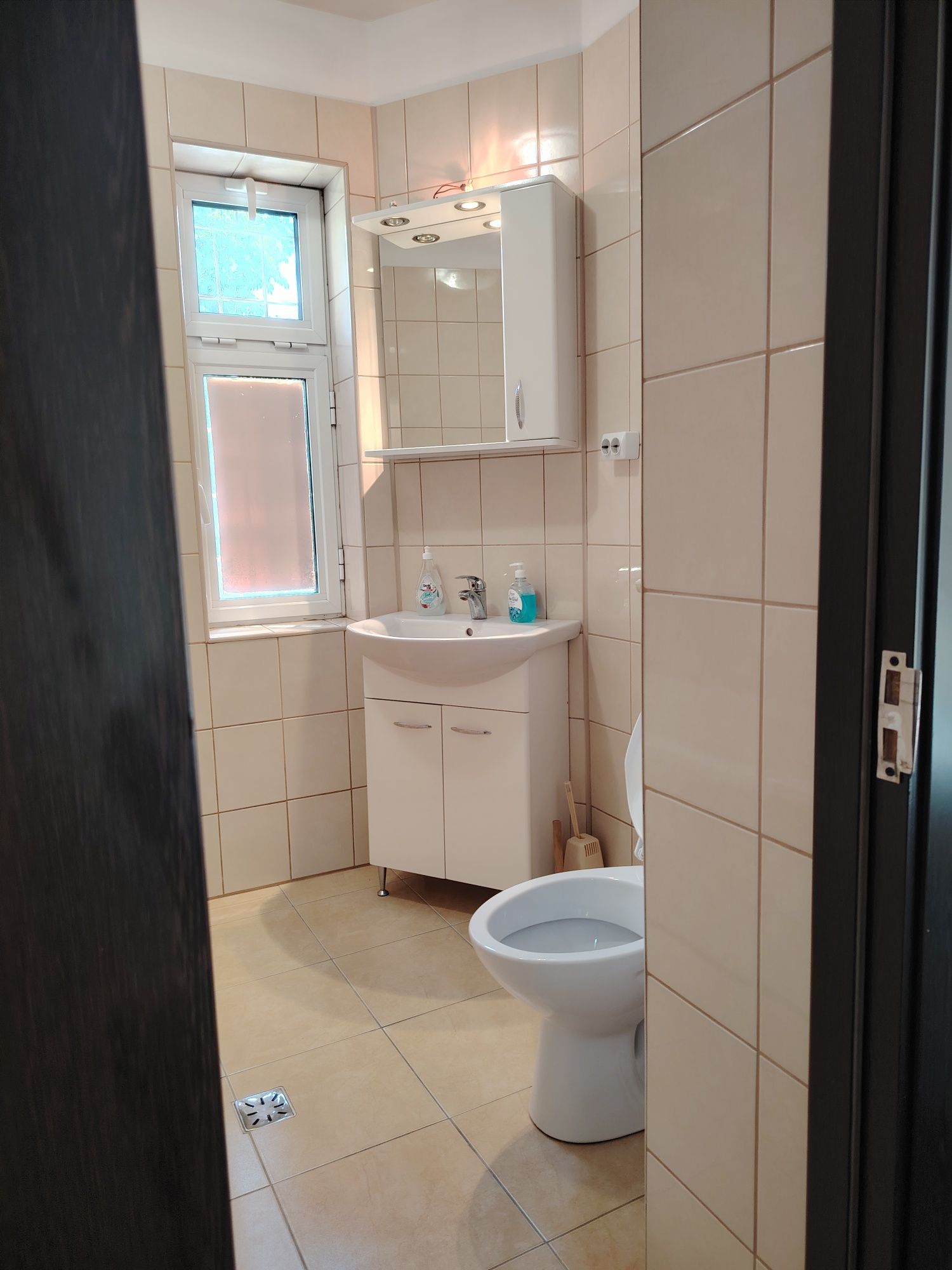 Închiriere casa metrou Tineretului