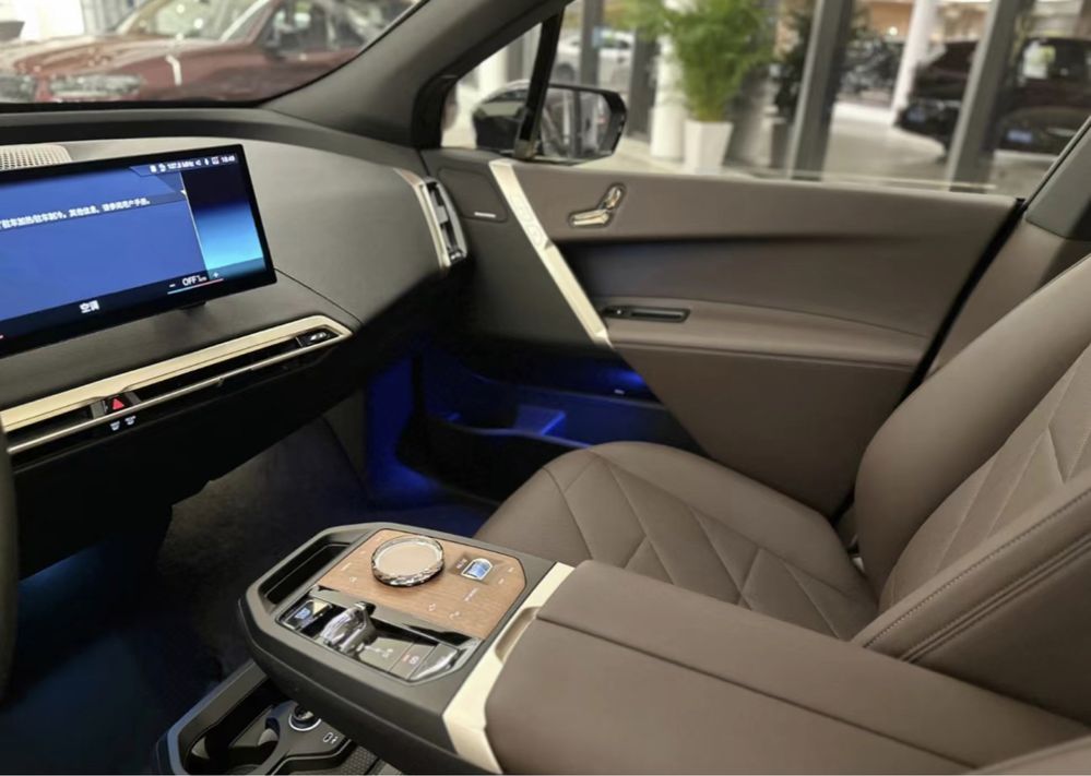 BMW iX xDrive 40 ( BMW iX40)   2024 в Top Version на заказ