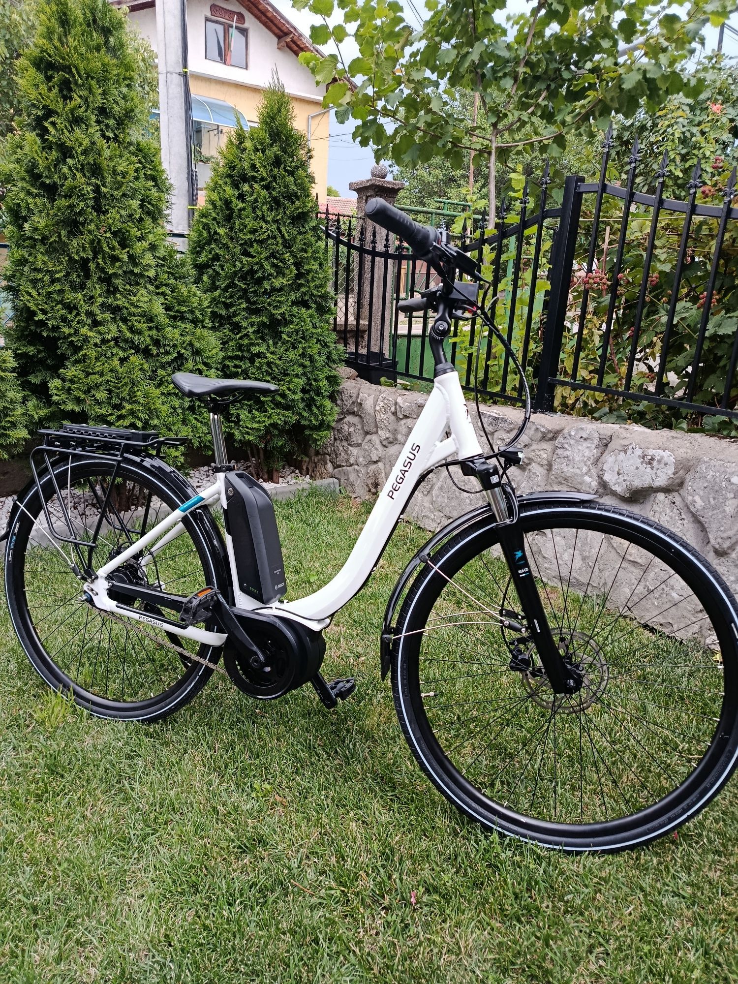 Pegasus Ancura E8R Disc 28
