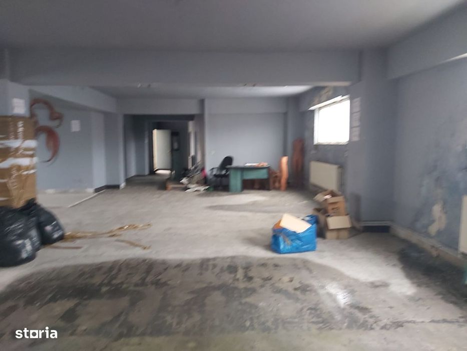 Hala 460 mp construiti,teren 600 Mp