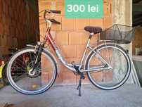 Vand Biciclete Adulti