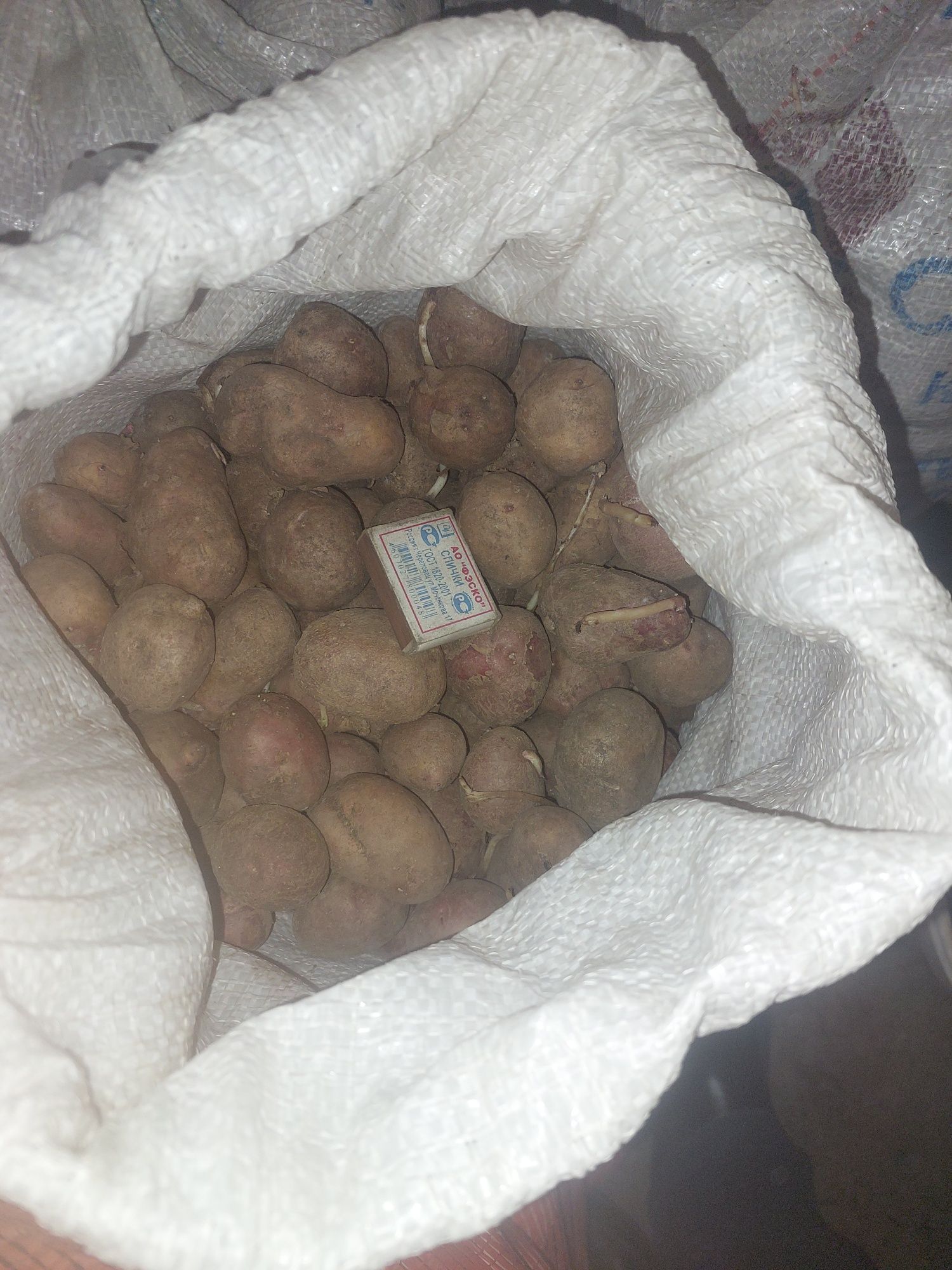 Продам семенной картофель