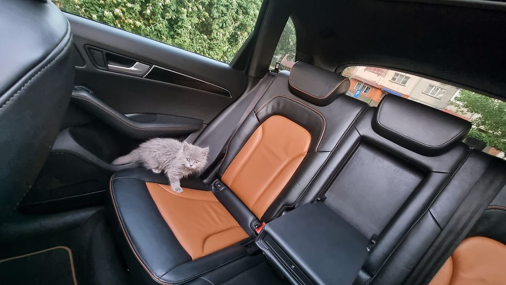 Audi Q5 2.0 Tdi Quattro Audi Exclusive
