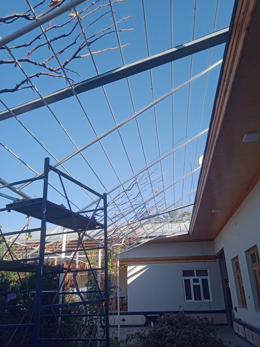 Sadovnik bogbon tok kesish xizmati