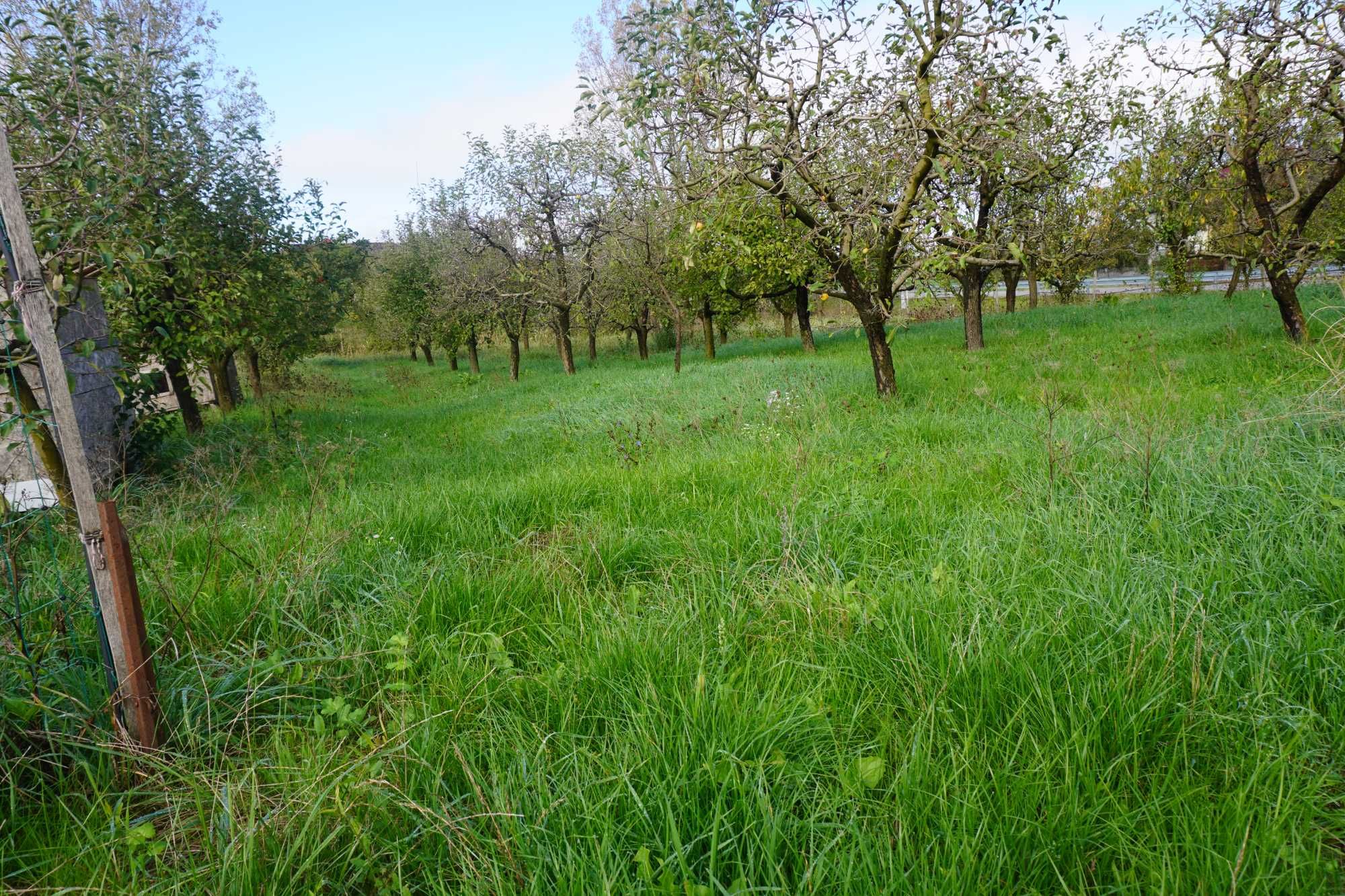 Casa cu cel mai frumos teren de 3800 m din Tataresti jud. Satu Mare