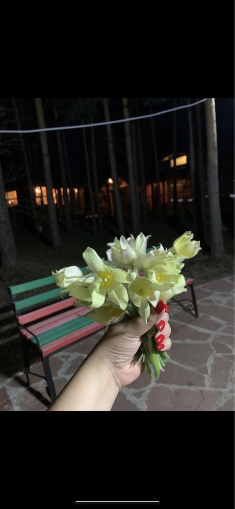 Боровое! Сдам коттедж в аренду с видом на лес