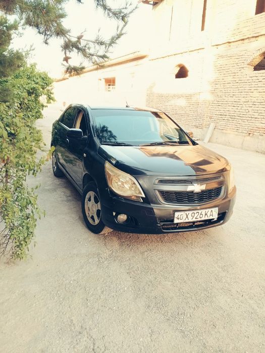 Kobalt soʻyladi 2014yil pul zarl