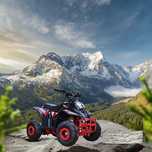 ATV pentru Copii pe Benzina 125cc Automat Import Germania Garantie