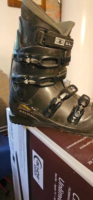 Clapari Solomon nr 43