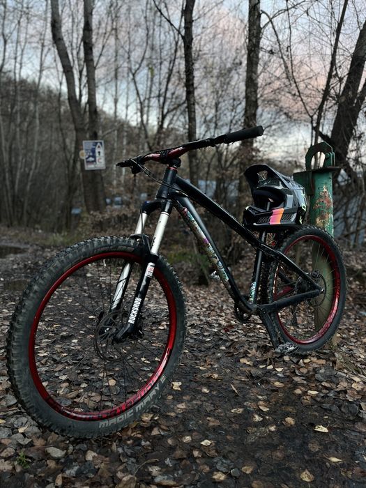 Dartmoor Hornet 2018 26