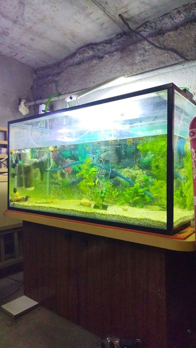 Продам аквариум на 300 литров компоект