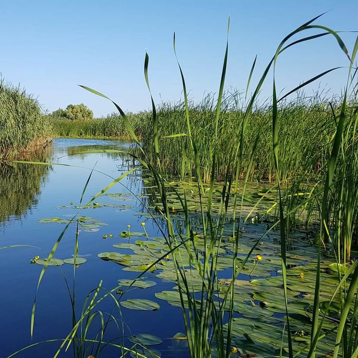 Excursii in Delta Dunarii cu barca