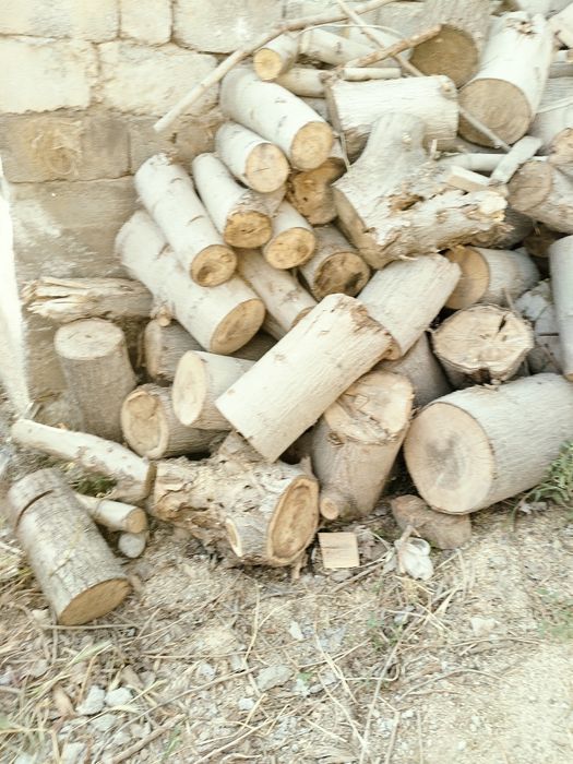 Firewoods o'tin дрова