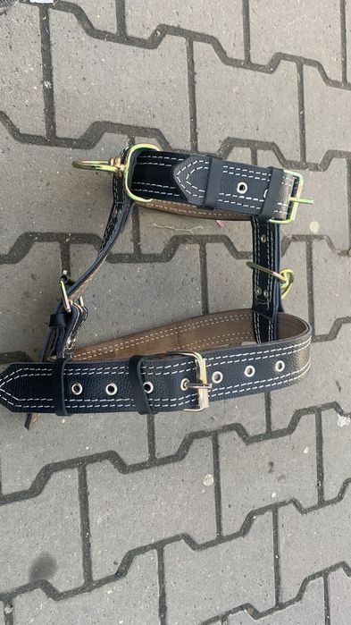 Vand Ham pentru caine