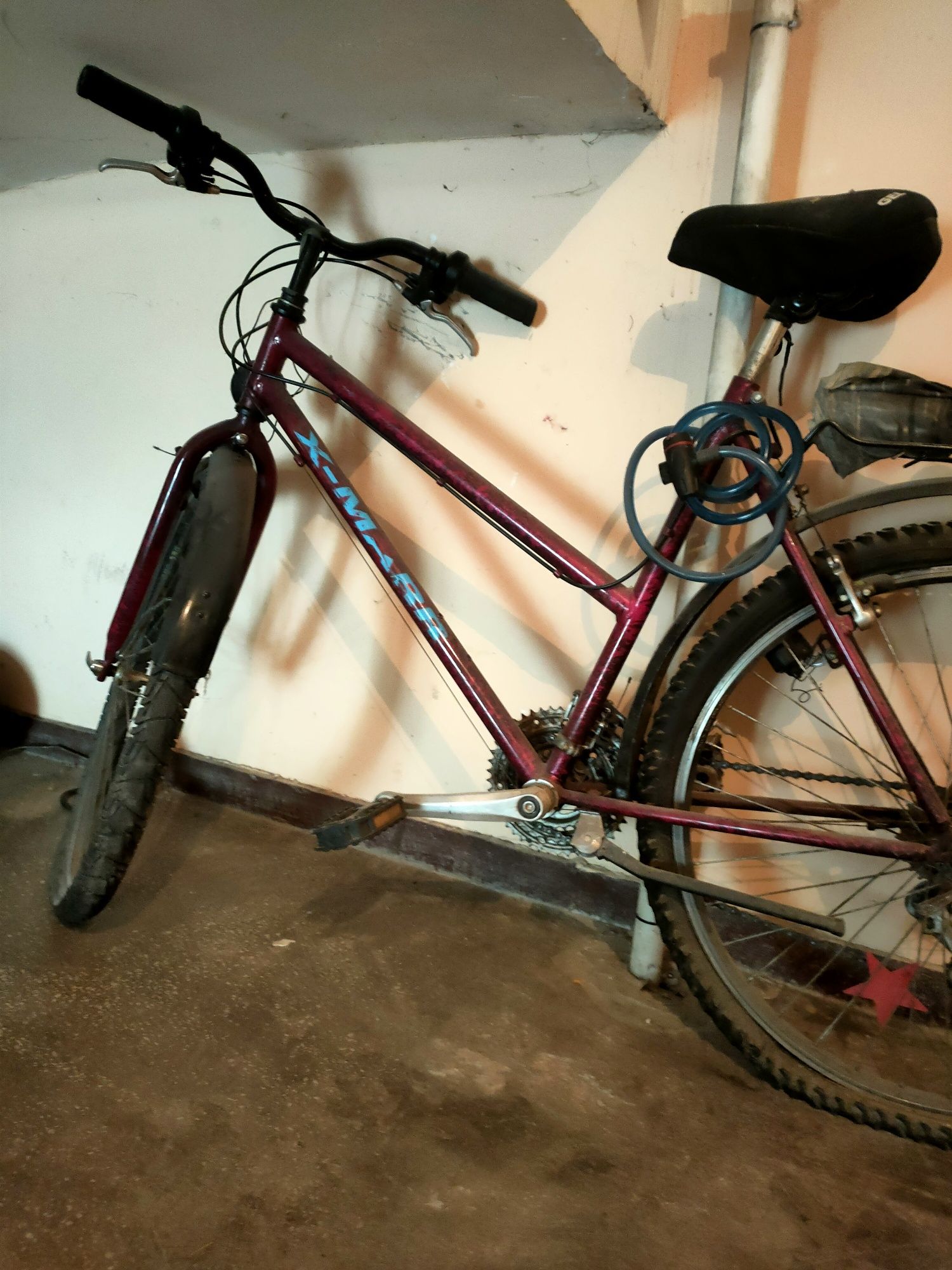 Bicicleta  adulți