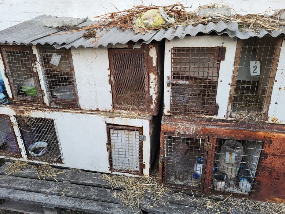 Продам клетки для кроликов