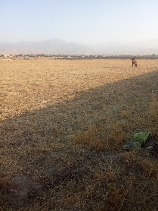 Yer sotiladi 60 sotix.