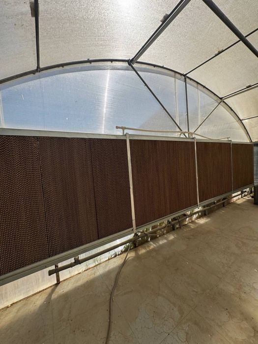 Yil davomida hosil yig'ish uchun katta zamonaviy ISSIQXONA!