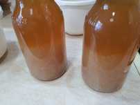 Donez Kefir de Apa