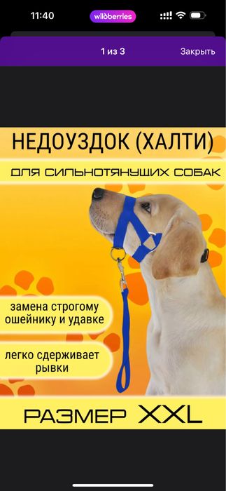 Недоуздок для собаки