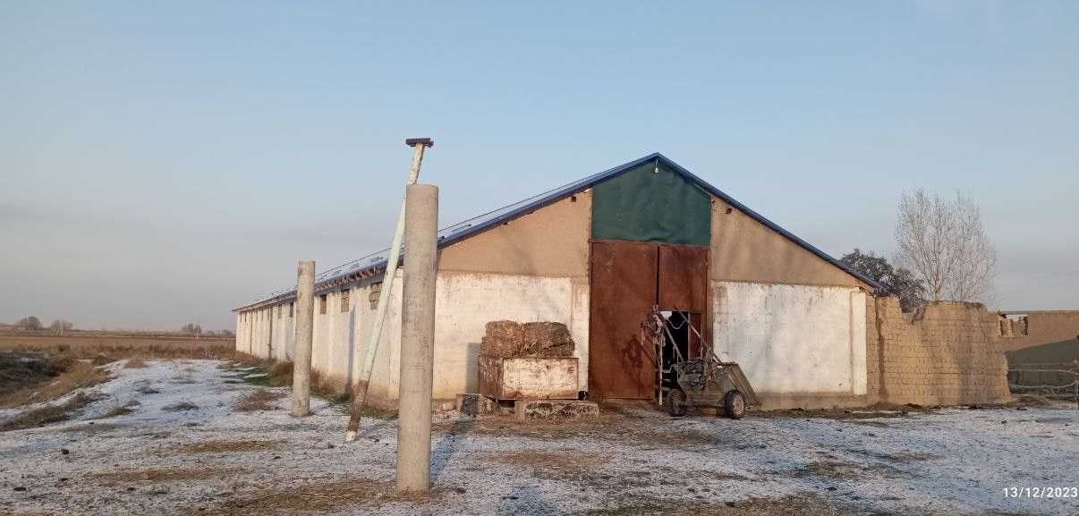 Zarbdor tumanda Chorvachilik binosi bolib tolash sharti bilan sotiladi