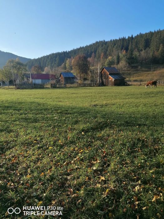 Teren de Vânzare in Sadova