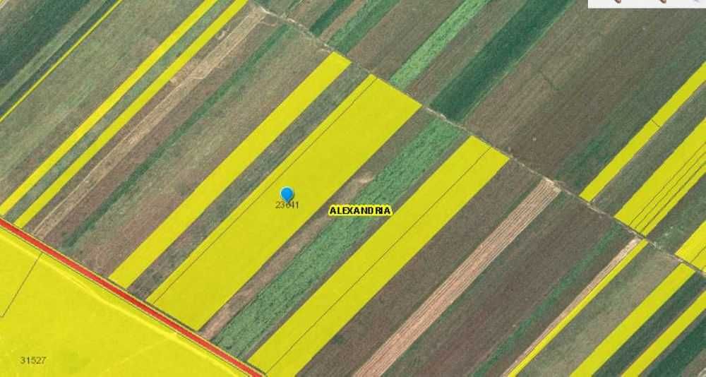 Vand Teren 43.650mp - Langa Dedeman