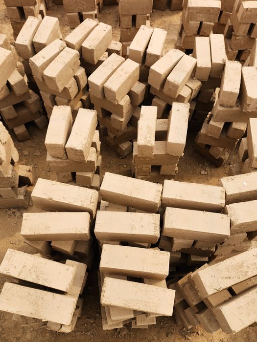 Hom gish va pishgan gish