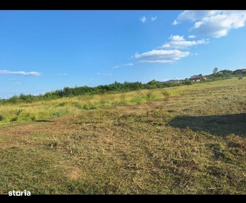 RECO Teren intravilan Paleu