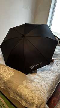 Зонтик от компаний Zeekr