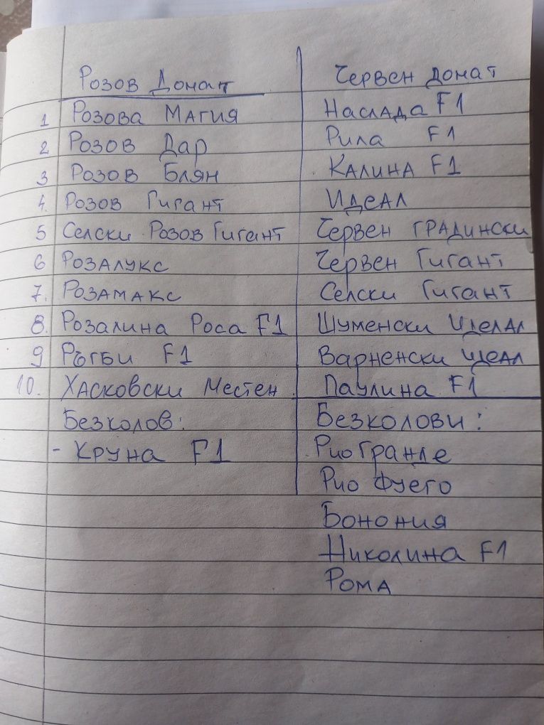 Разсади Домат,Краставици и Пипер 60ст.