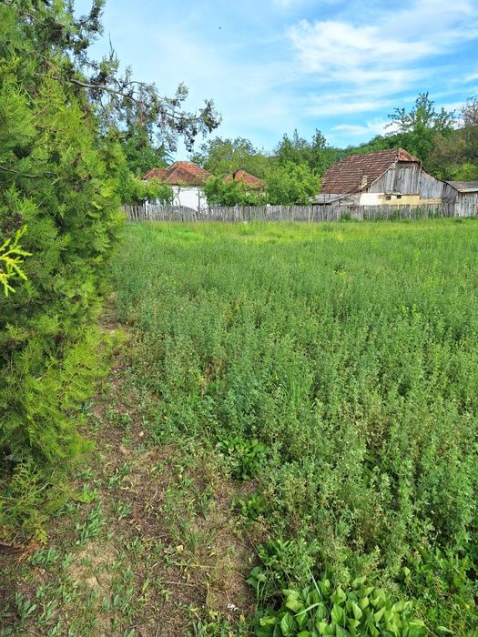 Vind locuri de casă în com Magura ,1600 mp ,intravilan, c f ,asfalt
