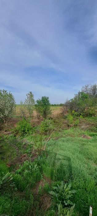 Земля 5 соток Навбахор Дачный массив Янгибазар Паркент Джумабазар