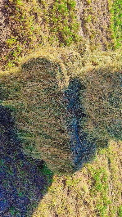 Beda,quruq,90 sm 33 ming yerni ichidan