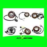 Stator Alternator Honda Yamaha Kawasaki Suzuki Ducati BMW EvoX bobina