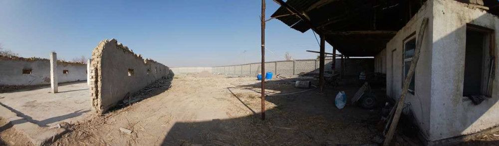 Ферма Тошкент вилояти Уртасарай (БУҚА)