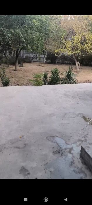 Квартира на первом этаже