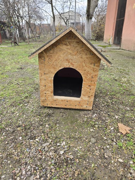 Cusca, casuta, coliba capitonata pentru caini, pisica