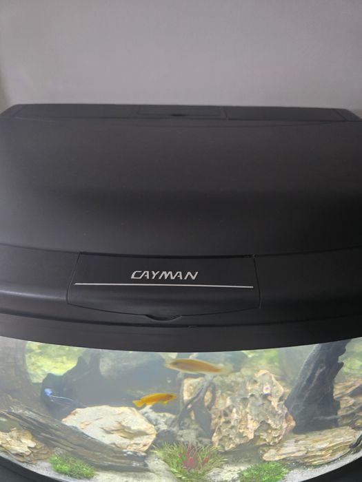 Vand urgent  Acvariu Cayman 120 L