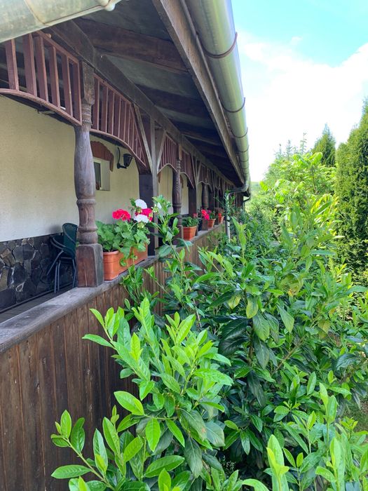 Cabana de inchiriat REVELION 2026