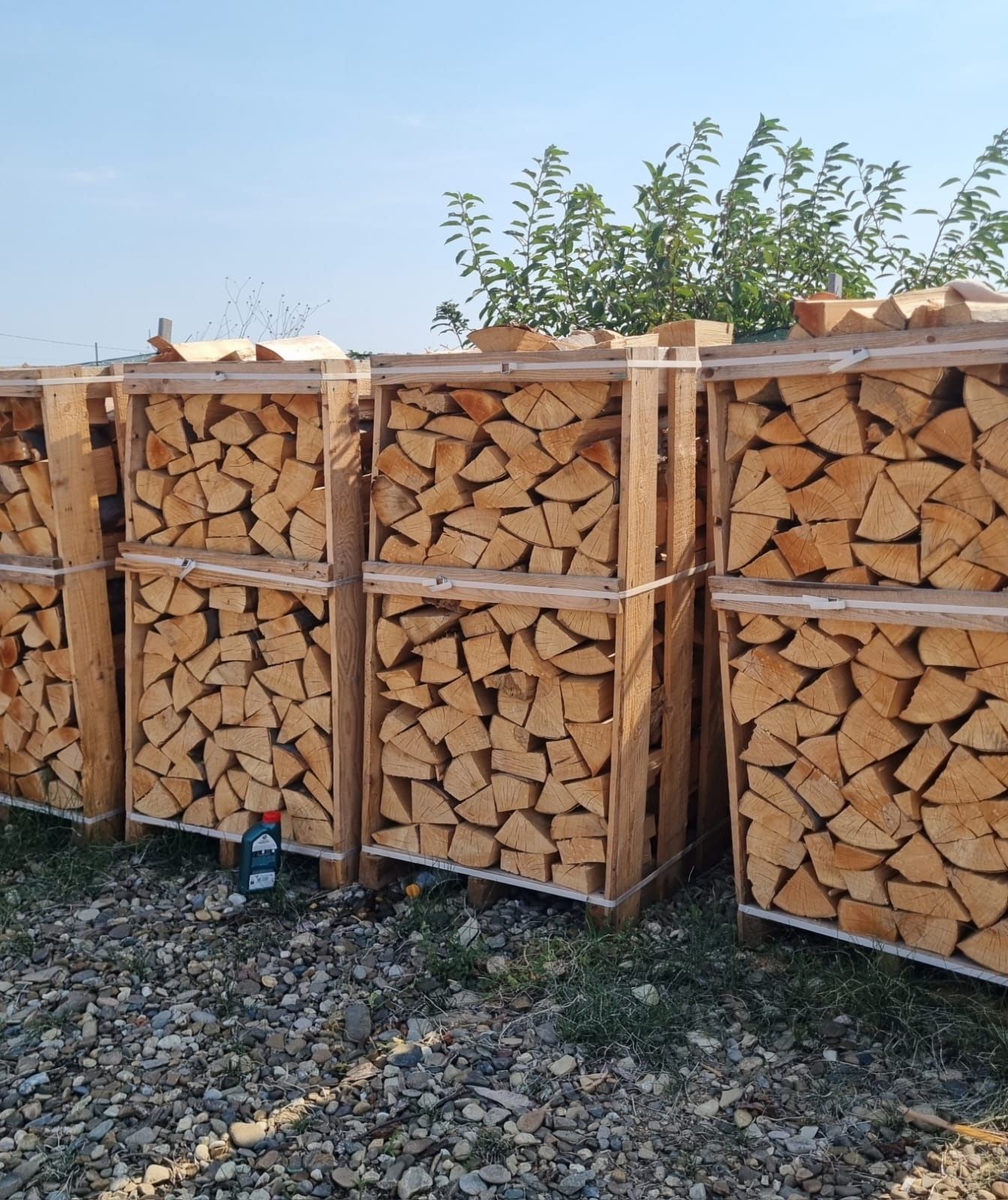 Lemne de foc  fag paletizate